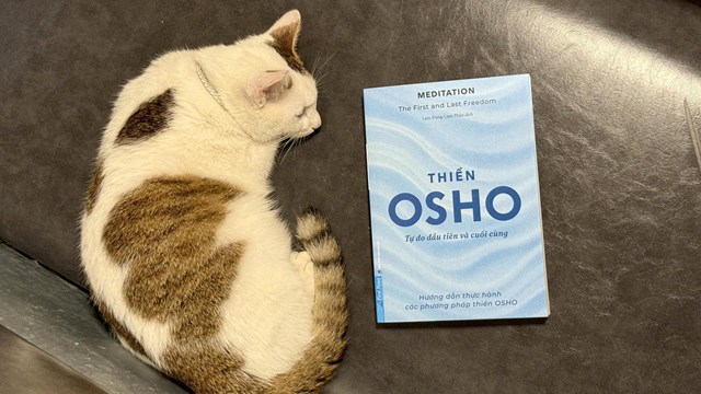 ‘Thiền - Tự do đầu ti&#234;n v&#224; cuối c&#249;ng’ -  Cẩm nang thiền trong đời sống hiện đại  - Ảnh 1