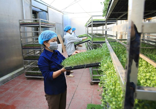 Kinh tế tuần hoàn - động lực để kinh tế phát triển bền vững.