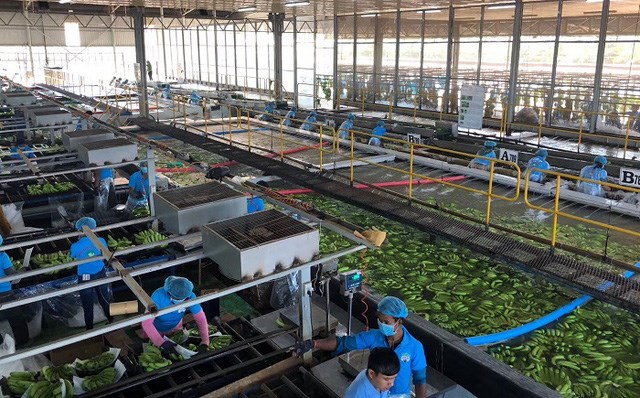 L&agrave;m n&ocirc;ng nghiệp cần sự ki&ecirc;n nhẫn v&agrave; thời gian, kh&ocirc;ng thể một ph&aacute;t ăn ngay.