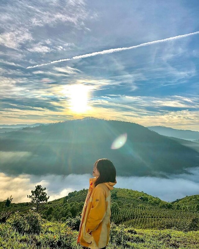 Đồi Yumonang ở Đạ Sar đ&oacute;ng cửa từ th&aacute;ng 5/2020. Ảnh:&nbsp;ha.hongduyen/Instagram