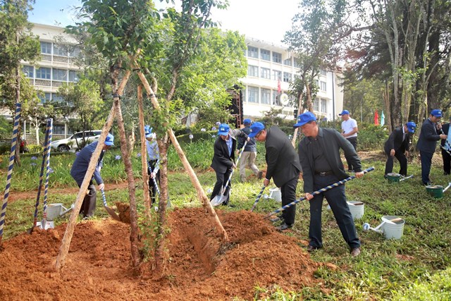 Novaland chung tay c&ugrave;ng L&acirc;m Đồng thực hiện mục ti&ecirc;u trồng 50 triệu c&acirc;y xanh. Nguồn: Novaland &nbsp;