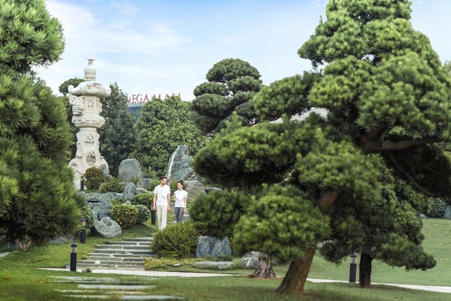 Kh&ocirc;ng gian được b&agrave;i tr&iacute; để đem đến cảm gi&aacute;c y&ecirc;n b&igrave;nh, thanh tịnh, giao ho&agrave; với thi&ecirc;n nhi&ecirc;n. &nbsp;
