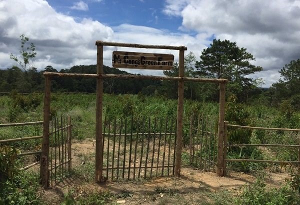 Một l&ocirc; đất được chia b&aacute;n kh&aacute;ch h&agrave;ng trong dự &aacute;n L&acirc;m Đồng Farmstay trước đ&acirc;y. Ảnh: LD farmstay