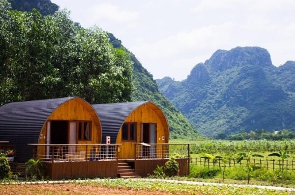 Tr&agrave;o lưu đầu tư Farmstay đang nở rộ ở Việt Nam. Ảnh minh họa: VNN
