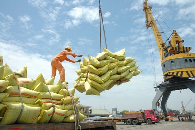 T&iacute;nh đến ng&agrave;y&nbsp;15/7, cả nước c&oacute; 192&nbsp;thương nh&acirc;n kinh doanh xuất khẩu gạo. &nbsp;