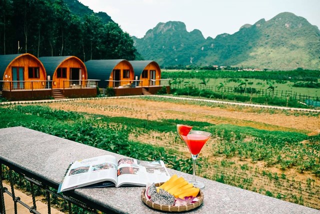 Thận trọng khi r&#243;t tiền v&#224;o homestay, farmstay - Ảnh 1