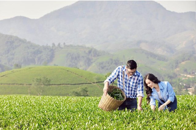 CEO Nguyễn Thị &Aacute;nh v&agrave; anh Đ&agrave;o Việt Th&aacute;i nu&ocirc;i ước mơ l&agrave;m gi&agrave;u cho đất nước