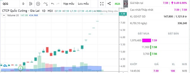 Kết quả kinh doanh lao dốc, cổ phiếu QCG của Quốc Cường Gia Lai vẫn tăng trần 6 phi&#234;n li&#234;n tiếp - Ảnh 1