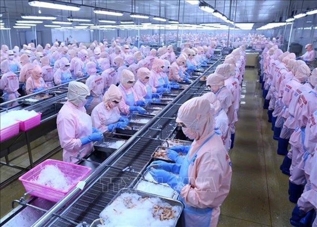 Báo lỗ gần 100 tỷ đồng trong quý 1, Tập đoàn Thủy sản Minh Phú (MPC) lên kế hoạch kinh doanh đi lùi, lãi giảm 20%