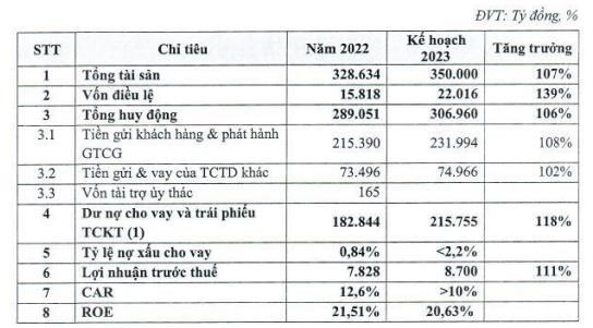 Nguồn: T&agrave;i liệu họp ĐHCĐ 2023