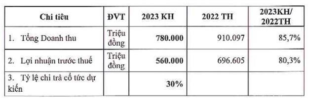 Nguồn: T&agrave;i liệu họp ĐHCĐ 2023