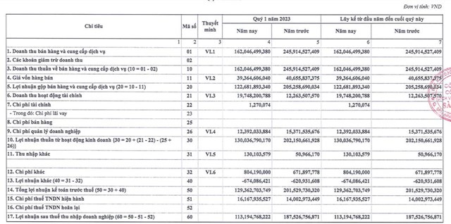 Nguồn: B&aacute;o c&aacute;o t&agrave;i ch&iacute;nh Q1/2023