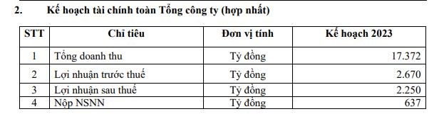 Nguồn: T&agrave;i liệu họp ĐHCĐ 2023