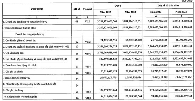 Nguồn: B&aacute;o c&aacute;o t&agrave;i ch&iacute;nh Q1/2023