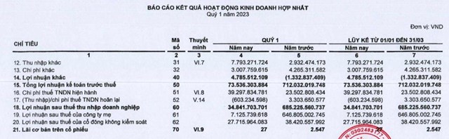 Nguồn: B&aacute;o c&aacute;o t&agrave;i ch&iacute;nh Qu&yacute; 1/2023
