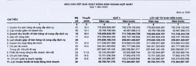 Nguồn: B&aacute;o c&aacute;o t&agrave;i ch&iacute;nh Qu&yacute; 1/2023
