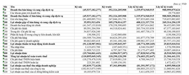 Nguồn: B&aacute;o c&aacute;o t&agrave;i ch&iacute;nh hợp nhất qu&yacute; 4/2022.