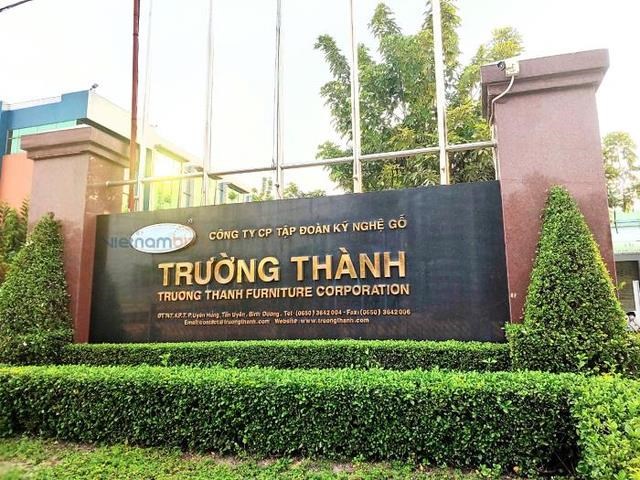 Lỗ 49 tỷ đồng trong 9 tháng, gỗ Trường Thành thêm nặng gánh khoản lỗ lũy kế hơn 3.000 tỷ từ quá khứ