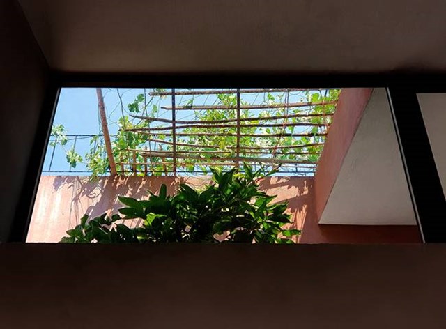 Khu vực trồng rau được bố tr&iacute; th&ecirc;m hệ thống tho&aacute;t nước v&agrave; thu nước mưa để giải quyết vấn đề chống thấm. C&aacute;c kiến tr&uacute;c sư cũng sử dụng m&agrave;ng chống thấm chuy&ecirc;n dụng để ngăn việc nước tưới rau ngấm xuống trần nh&agrave;.