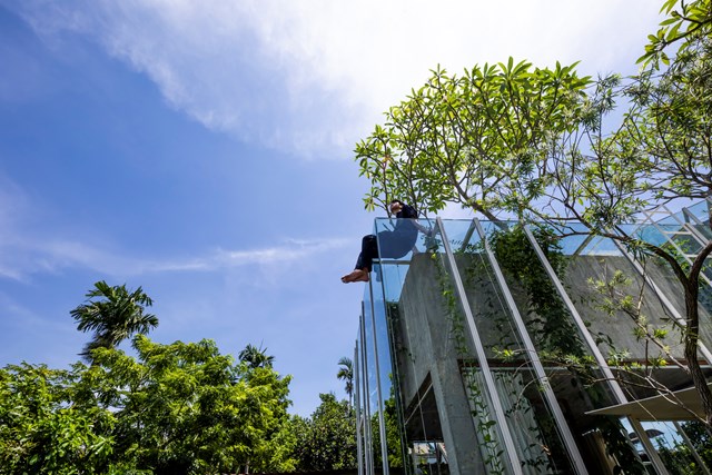 B&ecirc;n cạnh đ&oacute;, c&acirc;y hoa sứ cũng được phủ xanh phần n&oacute;c nh&agrave;. V&agrave;o m&ugrave;a kh&ocirc;, những t&aacute;n l&aacute; xum xu&ecirc; bao tr&ugrave;m cả tầng thượng c&oacute; t&aacute;c dụng che chắn căn nh&agrave; khỏi c&aacute;i nắng gay gắt.