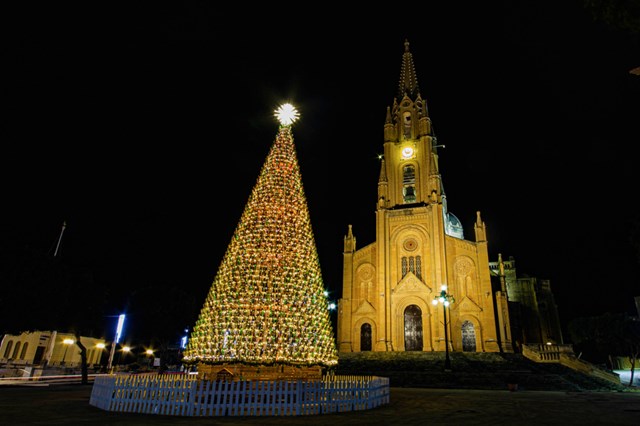 C&acirc;y th&ocirc;ng Noel độc đ&aacute;o nhất thế giới năm nay được đặt tại l&agrave;ng Għajnsielem của đảo Gozo. C&acirc;y cao 19m v&agrave; được trang tr&iacute; bởi 4.500 chiếc chai t&aacute;i chế. Gi&aacute;ng sinh ở nơi đ&acirc;y được mệnh danh l&agrave; &ldquo;đầy &aacute;nh nắng v&agrave; sự th&acirc;n thiện&rdquo;. Ban ng&agrave;y, &aacute;nh nắng của đảo Gozo phản chiếu qua lớp thủy tinh tạo n&ecirc;n một t&aacute;c phẩm lấp l&aacute;nh rực rỡ. Về đ&ecirc;m, khi &aacute;nh đ&egrave;n bật s&aacute;ng, c&acirc;y th&ocirc;ng c&agrave;ng th&ecirc;m lung linh, diễm lệ.