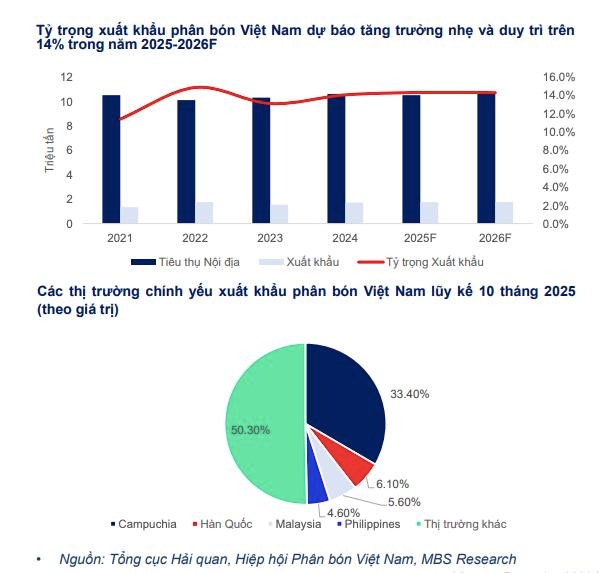 Chứng khoán MBS dự báo ngành phân bón năm 2026 là năm 'gieo hạt tốt, gặt mùa vàng' - Ảnh 2