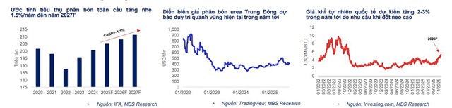 Chứng khoán MBS dự báo ngành phân bón năm 2026 là năm 'gieo hạt tốt, gặt mùa vàng' - Ảnh 1