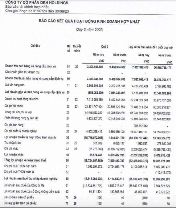 Bị chỉ ra h&#224;ng loạt sai phạm, C&#244;ng ty DRH Holdings (DRH) chịu phạt 145 triệu đồng - Ảnh 1