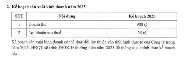 Tập đo&#224;n ST8 (ST8) ước đạt 21,5 tỷ đồng lợi nhuận sau thuế năm 2024, vượt 23% kế hoạch đề ra - Ảnh 2