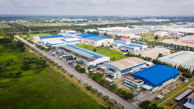 Năm 2021,&nbsp;c&aacute;c giao dịch thu&ecirc; đất c&oacute; quy m&ocirc; dao động từ 3 - 40ha, phổ biến nhất l&agrave; trong khoảng từ 3 - 5ha.