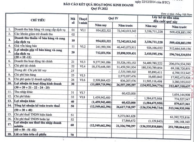 Kết quả kinh doanh qu&yacute; IV/2022 của NDN