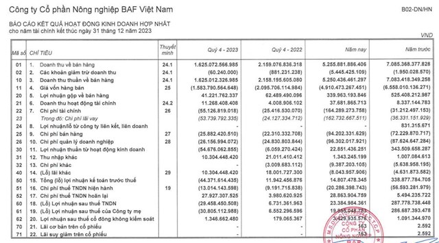 N&#244;ng nghiệp BaF Việt Nam (BAF) ghi nhận lỗ qu&#253; đầu ti&#234;n kể từ khi ni&#234;m yết - Ảnh 1
