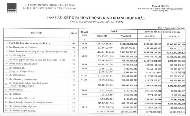 D&#249; &#39;hụt hơi&#39; trong qu&#253; IV/2024, Đạm C&#224; Mau (DCM) vẫn b&#225;o l&#227;i sau thuế cả năm tăng 20% - Ảnh 1