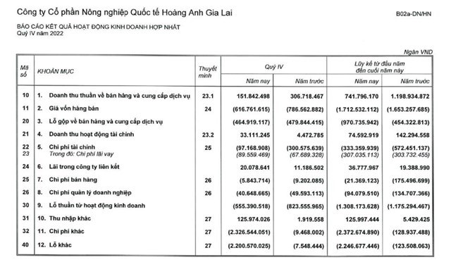 HAGL Agrico (HNG) lỗ hơn 3.500 tỷ đồng trong năm 2022 - Ảnh 1
