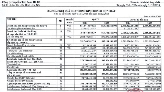 Tập đo&#224;n H&#224; Đ&#244; (HDG) b&#225;o l&#227;i sau thuế năm 2024 &#39;đi l&#249;i&#39;, mới ho&#224;n th&#224;nh 77% kế hoạch năm   - Ảnh 1