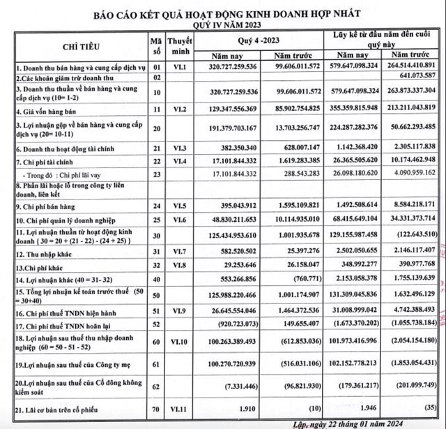 C&#244;ng bố th&#244;ng tin kh&#244;ng đ&#250;ng thời hạn, DIC Holdings (DC4) bị xử phạt - Ảnh 1