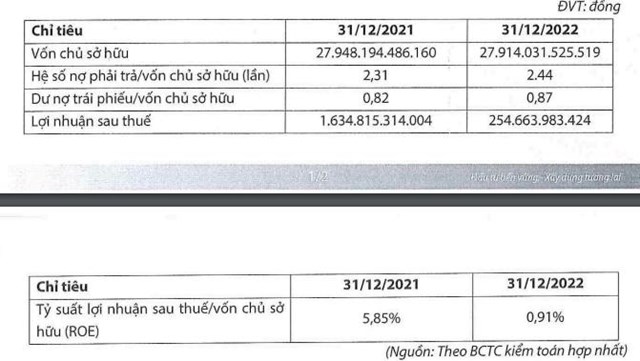 Nợ thuế, Trung Nam Group bị cưỡng chế dừng l&#224;m thủ tục hải quan - Ảnh 1