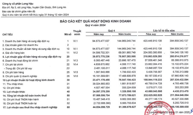 Long Hậu (LHG) bị Cục Thuế tỉnh Long An phạt cảnh c&#225;o do chậm nộp tờ khai thuế - Ảnh 2