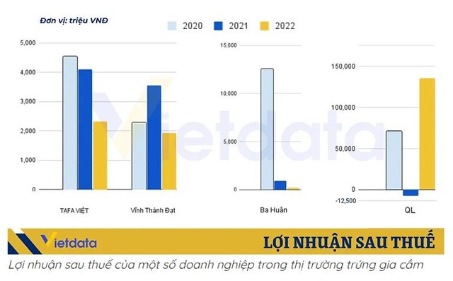 &#39;Vượt mặt&#39; Ba Hu&#226;n, Tafa Việt Nam, H&#242;a Ph&#225;t... doanh nghiệp n&#224;o đang dẫn đầu thị trường trứng gia cầm Việt? - Ảnh 2