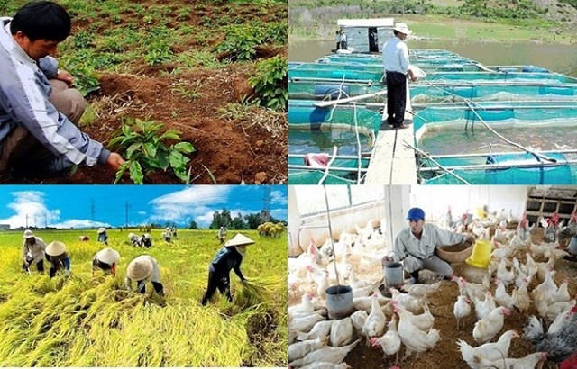 HSBC: Việt Nam đặt trọng t&#226;m v&#224;o n&#244;ng nghiệp xanh - Ảnh 2