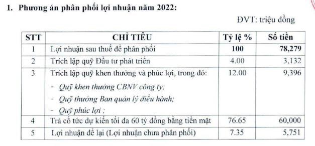 Phương &aacute;n ph&acirc;n phối lợi nhuận năm 2022 của PMW