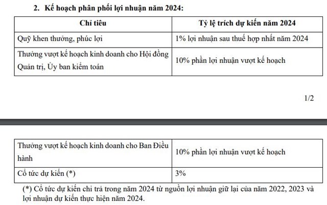 SAM Holdings (SAM) đặt mục ti&#234;u l&#227;i sau thuế năm 2024 80,3 tỷ đồng, tăng gần 28% so với năm trước - Ảnh 2