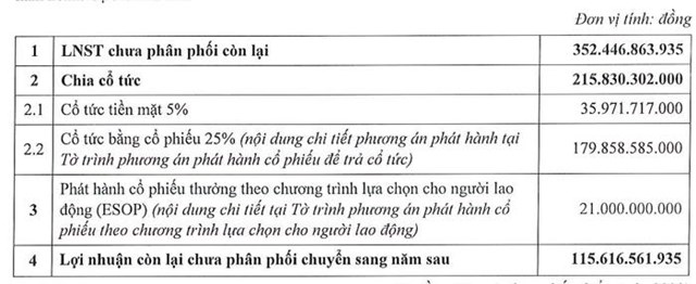 C&ocirc;ng ty dự kiến chia cổ tức bằng tiền tỷ lệ 5%