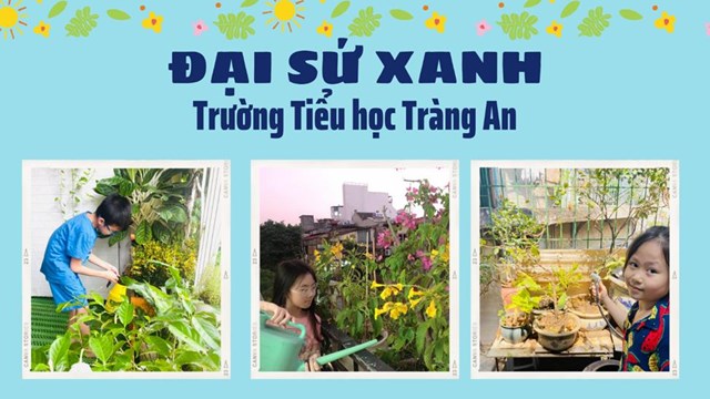 Trường Tiểu học Tr&#224;ng An đạt th&#224;nh t&#237;ch Xuất sắc trong chương tr&#236;nh “X&#226;y dựng trường học xanh - V&#236; một H&#224; Nội xanh” tr&#234;n địa b&#224;n quận Ho&#224;n Kiếm - Ảnh 3