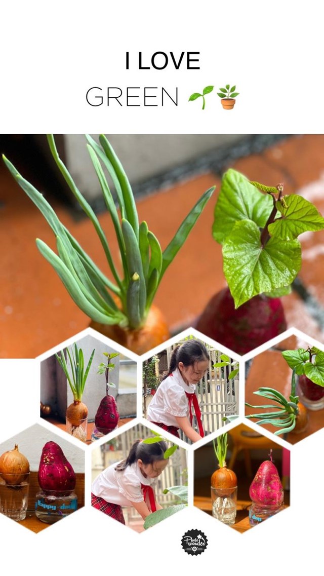 Trường Tiểu học Tr&#224;ng An đạt th&#224;nh t&#237;ch Xuất sắc trong chương tr&#236;nh “X&#226;y dựng trường học xanh - V&#236; một H&#224; Nội xanh” tr&#234;n địa b&#224;n quận Ho&#224;n Kiếm - Ảnh 5