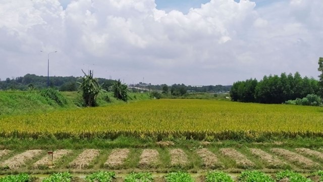 Điều kiện, ti&#234;u ch&#237; cho ph&#233;p chuyển mục đ&#237;ch sử dụng đất - Ảnh 1