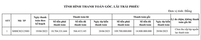 C&#244;ng ty S&#244;ng Hồng Ho&#224;ng Gia xin chậm trả nợ tr&#225;i phiếu, l&#227;i đột biến trong năm 2023 - Ảnh 2