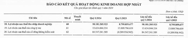 Qu&#253; I/2024, Tập đo&#224;n Bamboo Capital ghi nhận doanh thu đạt hơn 985 tỷ đồng, lợi nhuận sau thuế tăng hơn 10 lần so với c&#249;ng kỳ - Ảnh 2