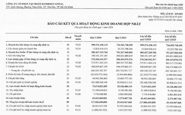 Qu&#253; I/2024, Tập đo&#224;n Bamboo Capital ghi nhận doanh thu đạt hơn 985 tỷ đồng, lợi nhuận sau thuế tăng hơn 10 lần so với c&#249;ng kỳ - Ảnh 1