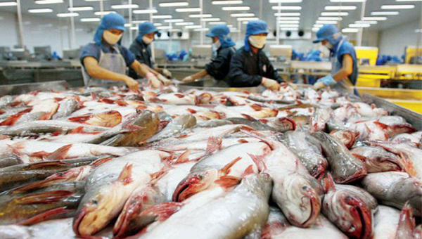 Kim ngạch xuất khẩu nhiều mặt h&#224;ng n&#244;ng l&#226;m thủy sản chủ lực giảm s&#226;u - Ảnh 1